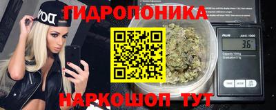 прущие крисы Гусиноозёрск