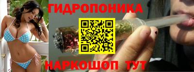 прущие крисы Гусиноозёрск