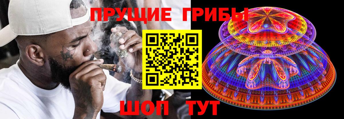 Псилоцибиновые грибы GOLDEN TEACHER  Вход с VPN  Галлюциногенные грибы Psilocybine cubensis  Новочебоксарск 
